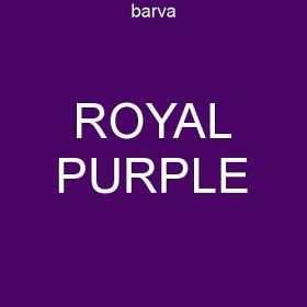 Lady B punčochové kalhoty LITTLE LADY tights 40 DEN royal purple
